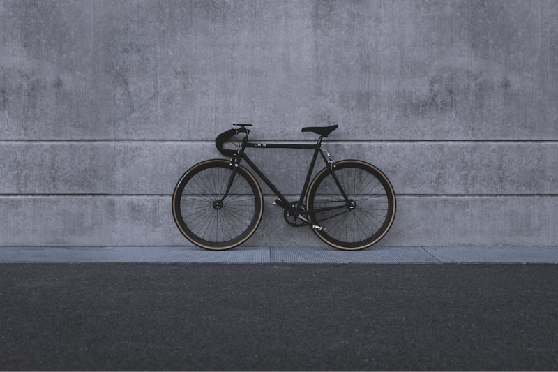 Electric Bicycle