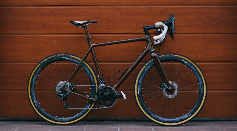 Professional Mountain Bike